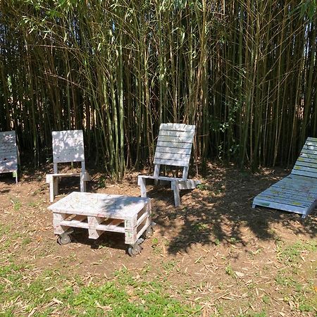 B&B - Chambres D'Hotes Acoucoula Orthez Bagian luar foto